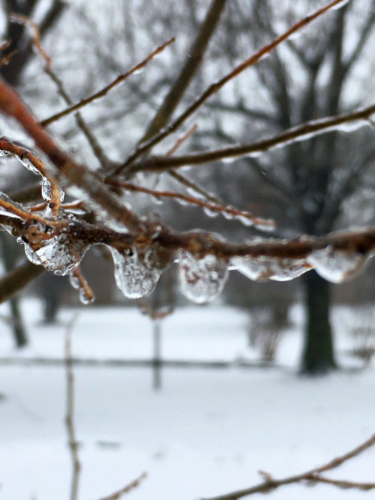 Wagoner County Snow Day